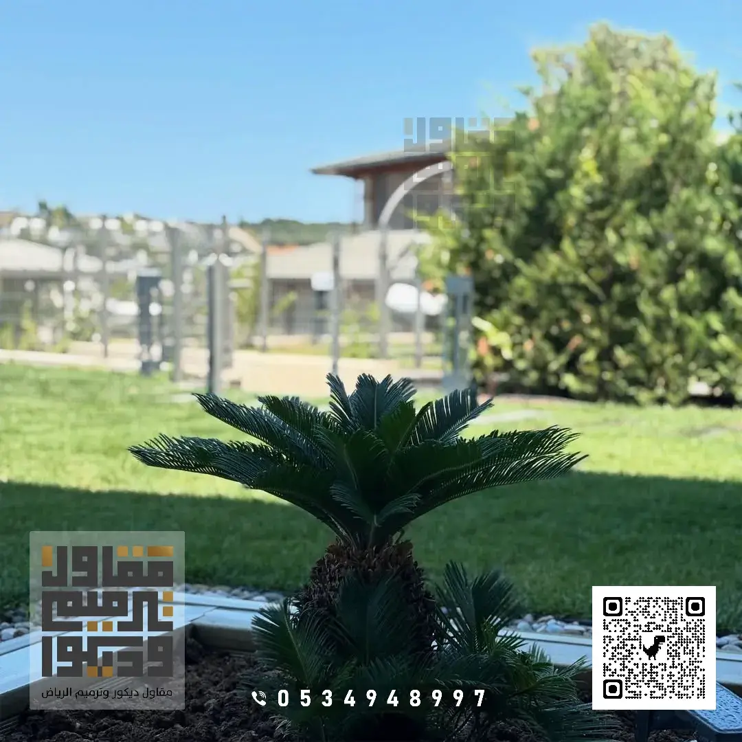 اشكال الحدائق بالرياض بحي القيروان